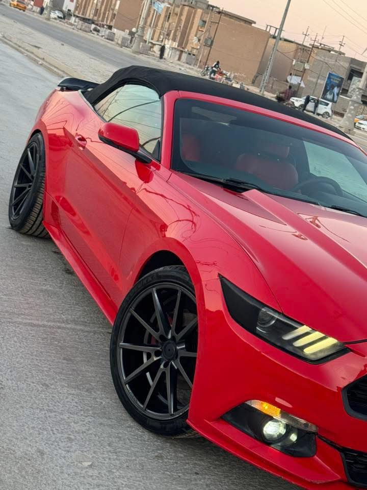 فورد موستنك / ايكو بوست
2017 -2017-2017❤️‍🔥كـشف 
-
كـشف جديد شغال مع الماطورات
-ابل كاربلاي
-اندرويد اوتـو
-لدات مخفي متغير محيطي/ 100$
-ويل فويزن الاصلي تو سايز🐦‍🔥
-تايرات 275 تخم جدد
-تدفئة كشنات 
-تبريـد كشنات
-هيتر بل مري
-اشاير بل مري
-ستيرن3️⃣وضعيات sport/comfort/normal
-السيارة بيه 4️⃣مودات /سبورت بلس /وضع المطر/التراك مود/النورمال
،
-شفتات ستيرن
-دواخل جلد احمر 
-سبويلر gt 500شيلبي 
-دشبول 7 الوان  
السيارة ماداخلة حلبة استخدام خفيف ولمكينة بجيس السيارة برغي متصرف عليهه❤️‍🔥♾️
-السيارة برمجة طلال + ملف ستوك 
-عليهه تفريغ يم علي الوادي
-داون بايب يم علي الوادي 
من خلال هاذ لمنشور حاب اوضح صورة عن موضوع الايكو بي مشاكل عن تجربة السيارة النضيفة دهن وبانزين وانساهه تفحيط ما تفحيط ماتحك راسك منهه واقوة من 6 سلندر  وبيه شلعة تاخذ الارتيات وتاخذ الي بمستواهه..❤️‍🔥✈️---الضرر-جاملغ خلفي بارد ووعكسه هم بارد بدون قطرة صبغ بدون ضربة بدون ايرباك للاستفسار ***********/***********
