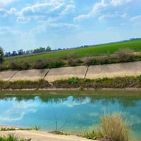 ٤ دونم • طابو زراعي • الشيخ عامر بلعيساويه