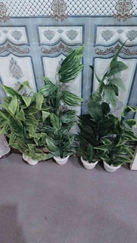 كربلاء • كنطرة السلام • كلهن