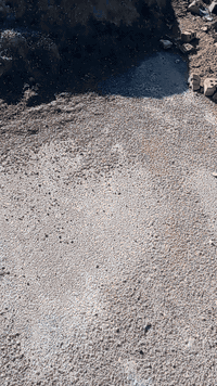 سلام عليكم قطعه للبيع منطه ببوشام مجمع العرين قرب لقوس خدمات كامله ماء كهرباء منطقه ارصفه  جديده لبناء بيها جاي يزيد يوم عن يوم المساحه ١٠٠ واجه ٥ لسعر ١٥ زراعي سند ٢٥ رقم ***********
