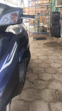 بريس بغبغاء • كفاله • رفاعي