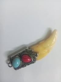 سن الذيب • اصلي • شرط