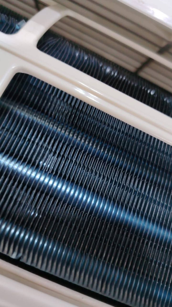 سبلت طن ونص مادخلات تصليح شرط شغل ضمان عنوان بصره مطيحه سعر لواحد ع 250قفف


**إذا كنت صاحب هذا الإعلان وتريد حذفه لأي سبب، رجاءا أرسل رسالة إلى الدعم الفني**