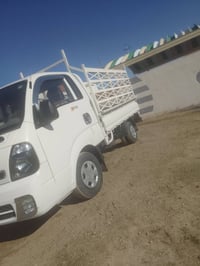 الانبار • جزيرة الخالدية • كفالة عامة