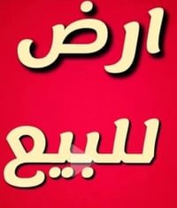 اخواني اصدقائي...  20 دونم سند 25 مشجره و حمضيات و نخل مفروزه سند مستق...