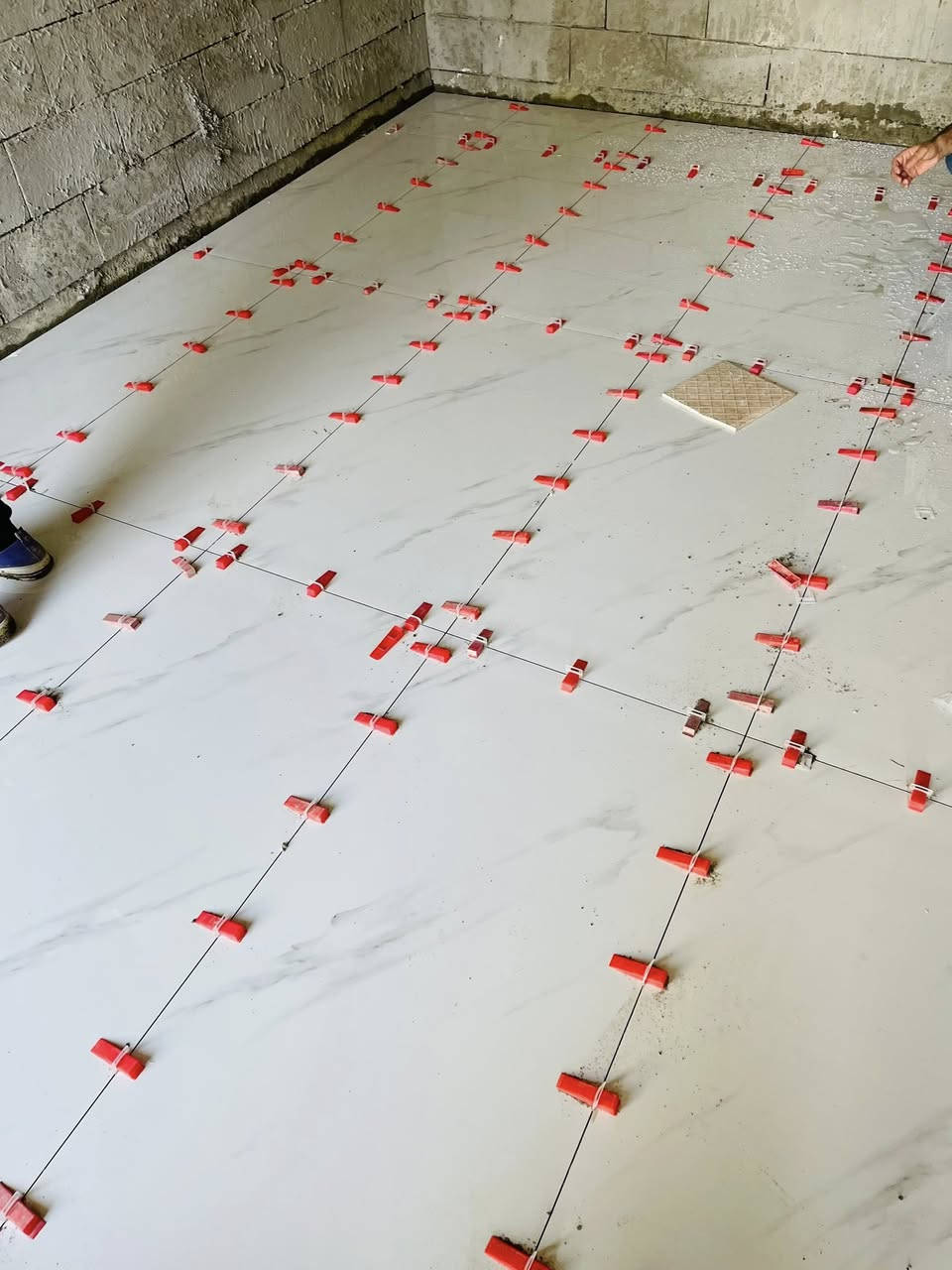 سلام عليكم شغل جدران وارضيات
وكوبلنات شغل فوول الاسعار مذكورة متفرغ
ادمن وافق.    

60*60.      4500

30*60.       4500

80*80 و30*90.   5000

120*60.      8000

***********

***********
