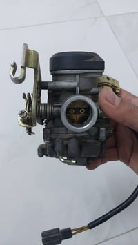 كابريته • فراشه • ماكس