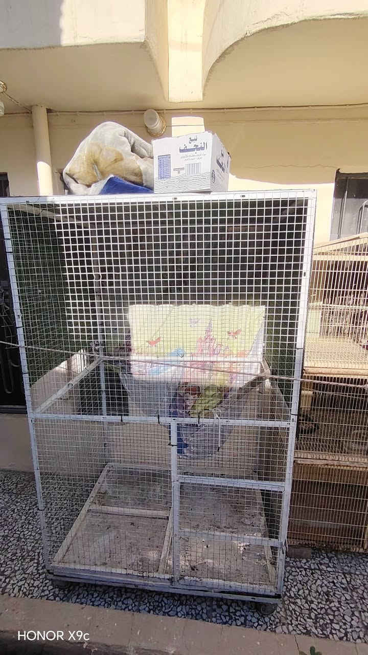 قفص حديد مستعمل سعره ب150 الف ارتفاعه مترين وعرضه متر ونص ونزال متره ونص


**إذا كنت صاحب هذا الإعلان وتريد حذفه لأي سبب، رجاءا أرسل رسالة إلى الدعم الفني**