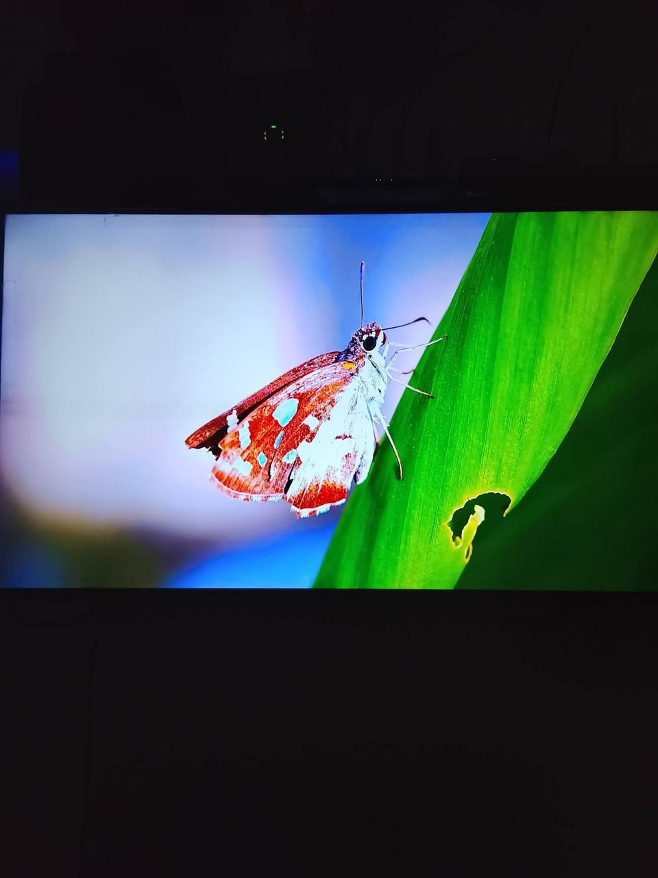 شاشه بلازمه الحافظ حجم50 جديدة كامل مواصفات 4K للبيع أي استفسار موجود ع خاص


**إذا كنت صاحب هذا الإعلان وتريد حذفه لأي سبب، رجاءا أرسل رسالة إلى الدعم الفني**