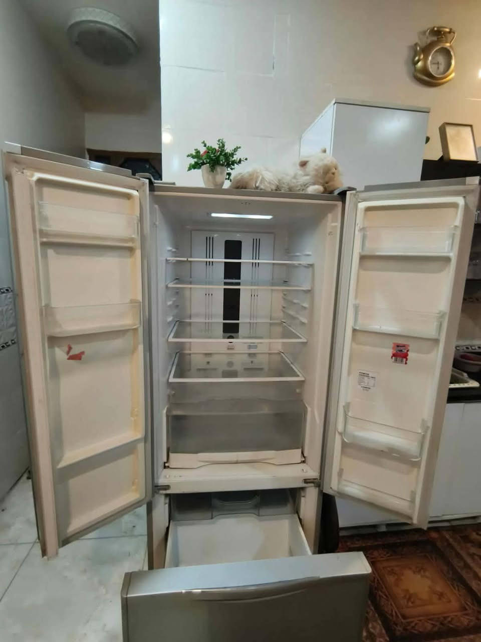 غراض للبيع نضيفات سبلت كنتوري 3 طن 800 غساله سامسونگ 400 ثلاجه هيتاشي 600
العنوان الشعب شارع العام


**إذا كنت صاحب هذا الإعلان وتريد حذفه لأي سبب، رجاءا أرسل رسالة إلى الدعم الفني**