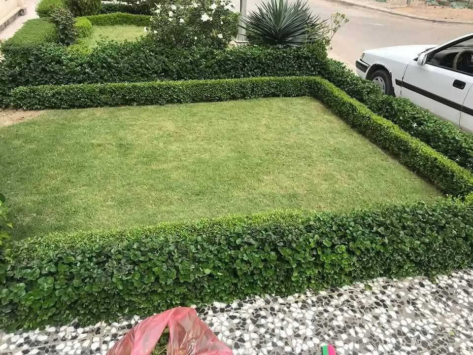 *********** باداره ابو علي
