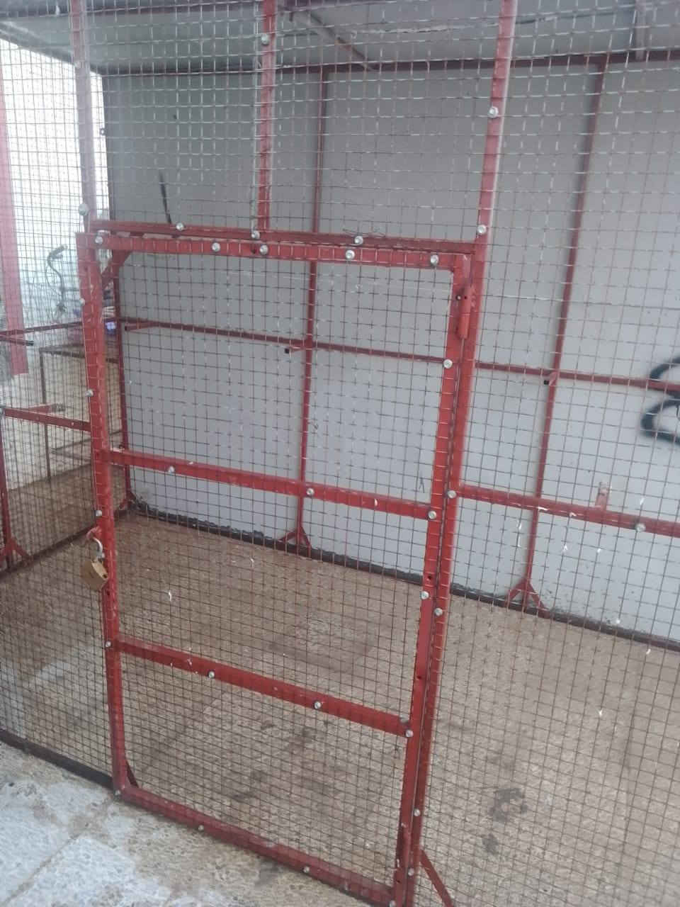 الارتفاع مترين
العرض متر ونص 
الطول 3 امتار 
حديد ثقيل درجه اولى 
سقف وظهر الي كابون 
سعرو 300وبينو مجال بسيط


**إذا كنت صاحب هذا الإعلان وتريد حذفه لأي سبب، رجاءا أرسل رسالة إلى الدعم الفني**