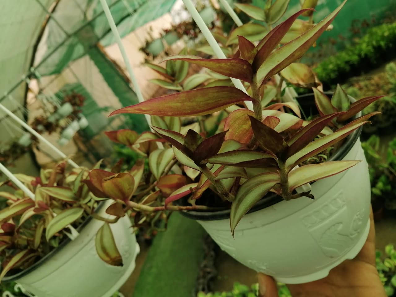 ((مشتل حديثة المركزي))
الموقع #
قرب دائرة البريد بسوق حديثة
دائما مستمرين وياكم
مكحله تعلاك ٣الالف فقط
كل ٢ ب٥الالف 
عرووووضنا  وبأسعار بلاششششششش🙂✌️
فقط وبس يمنا)) 😉🌺✌️

لاستفسار زورو صفحتنا أو الاتصال على الرقم
***********
اهلاوسهلا بالجميع ❤️
