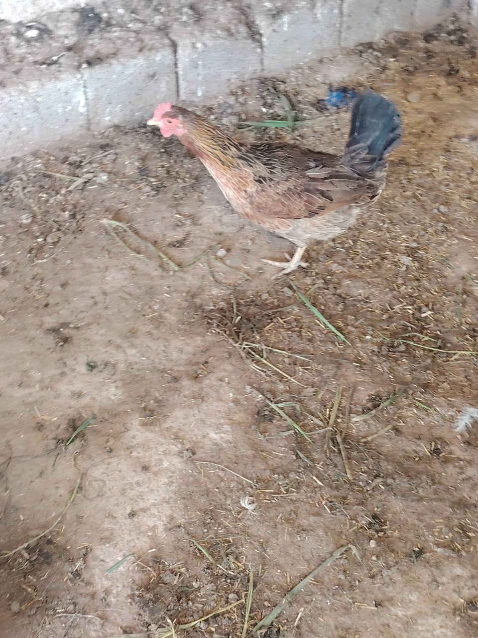 للبيع
***********
