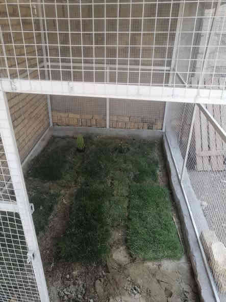 للبيع العرض ٢متر الطول ٣ متر مكان الناصريه مركز حي الجامعه السعر ٣٠٠ وبيها مجال ***********
