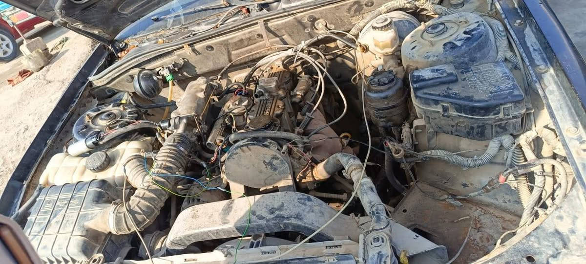 من رخصه الادمن تم تفصيخ برنسات عدد2 متوفر لدينا كيرات مكاين مشط ستيرن حداديه كافه كماليات وادوات البرنس عام كل الي تحتاجه موجود  جديد ومستعمل زورونا موقعنا ابو غريب الحصوه مقابل شركه الفارس

رقم الهاتف 

***********

***********
