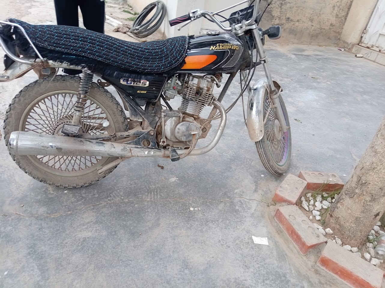 بيع سريع نامي بدون أوراق 250 وبي مجال***********
