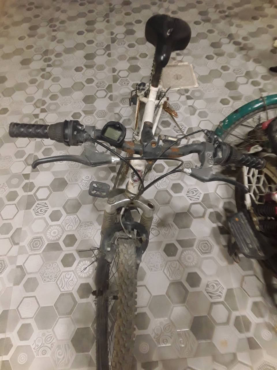 للبيع بايسكل جبلي نضيف حيل بي زنجار لان متروك  كل شي شغال
مكاني موصل جاني الايسر حي المزارع 
السعر 45 وبي مجال قليل حيل


**إذا كنت صاحب هذا الإعلان وتريد حذفه لأي سبب، رجاءا أرسل رسالة إلى الدعم الفني**