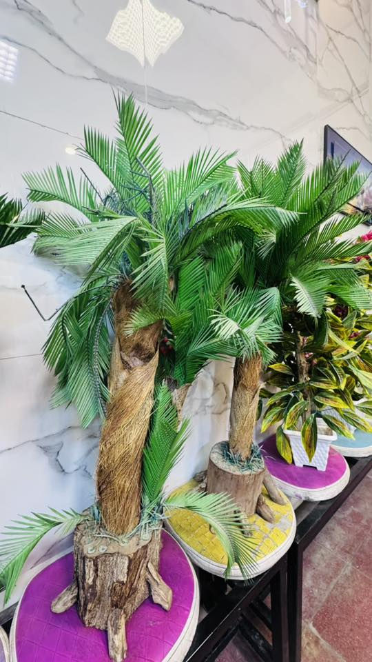 سلام عليكم  شلعه شجر كبار السعر 150وبيهن مجال العنوان كربلاء فقط ***********
