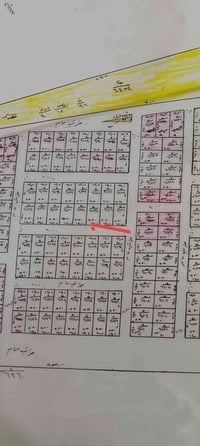 مقاطعة ٩ أبو حشيش • توزيع لحشد • ٢٥٠م