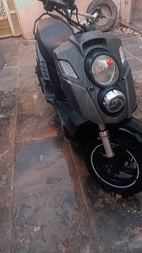 سكنس جبلي • تايواني • ٢٠١٠