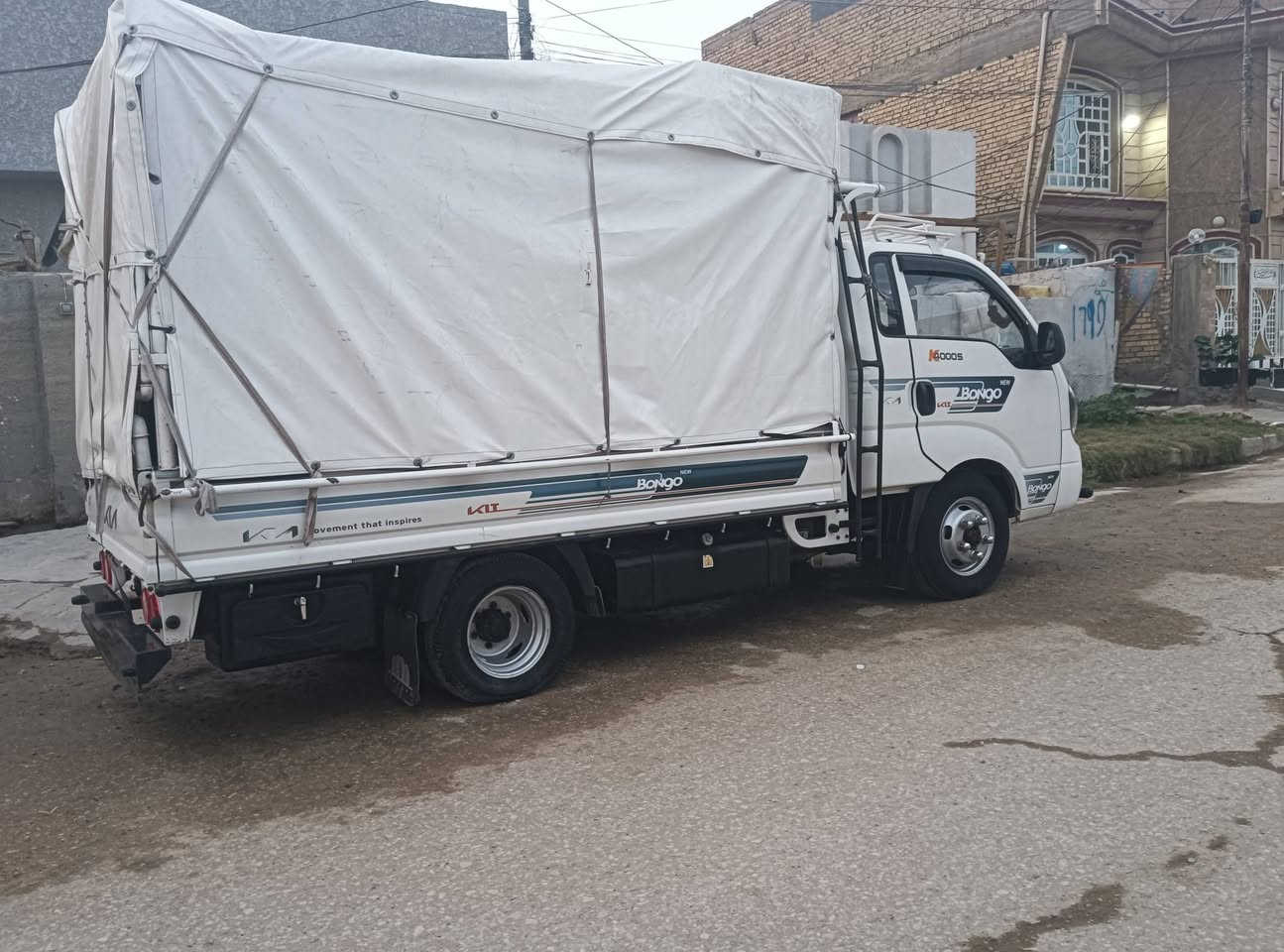 كيا حمل فحل للبيع موديل 2022 ***********
