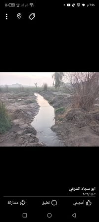 بابل الشوملي • ٧دونم • بيت ٣غرف