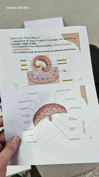 طابعة ايبسون L850 جديدة مع الكارتونة والاحبار للبيع
الحالة مستخدمة استعمال خفيف جداً -
بحالة الجديدة
الكارتونة الأصلية موجودة
الطابعة شغالة 100% بدون أي مشاكل
الأحبار موجودة وياها
طباعة صور + مستندات بدقة عالية 
استنساخ -طبع كارتات-طبع اقراص
مناسبة للاستوديوهات المكاتب وطباعة الصور
السعر المطلوب : 350,000 دينار عراقي قابل للتفاوض البسيط
الموقع بغداد
 للتواصل: ***********/موجود توصيل لكل العراق
