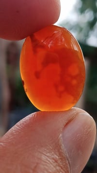 يماني • حر ملكي • غير مجمر