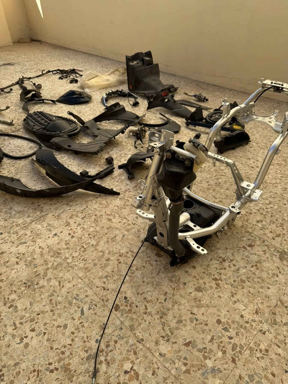 شاصي سكنس لد مصبوغ صبغه صحيحه ذني الغراض وياهن فشك ٦٣ بلاديات وملف وفلاوين غراض كلهن اكفلهن شرط رنبه 
***********
او خاص
