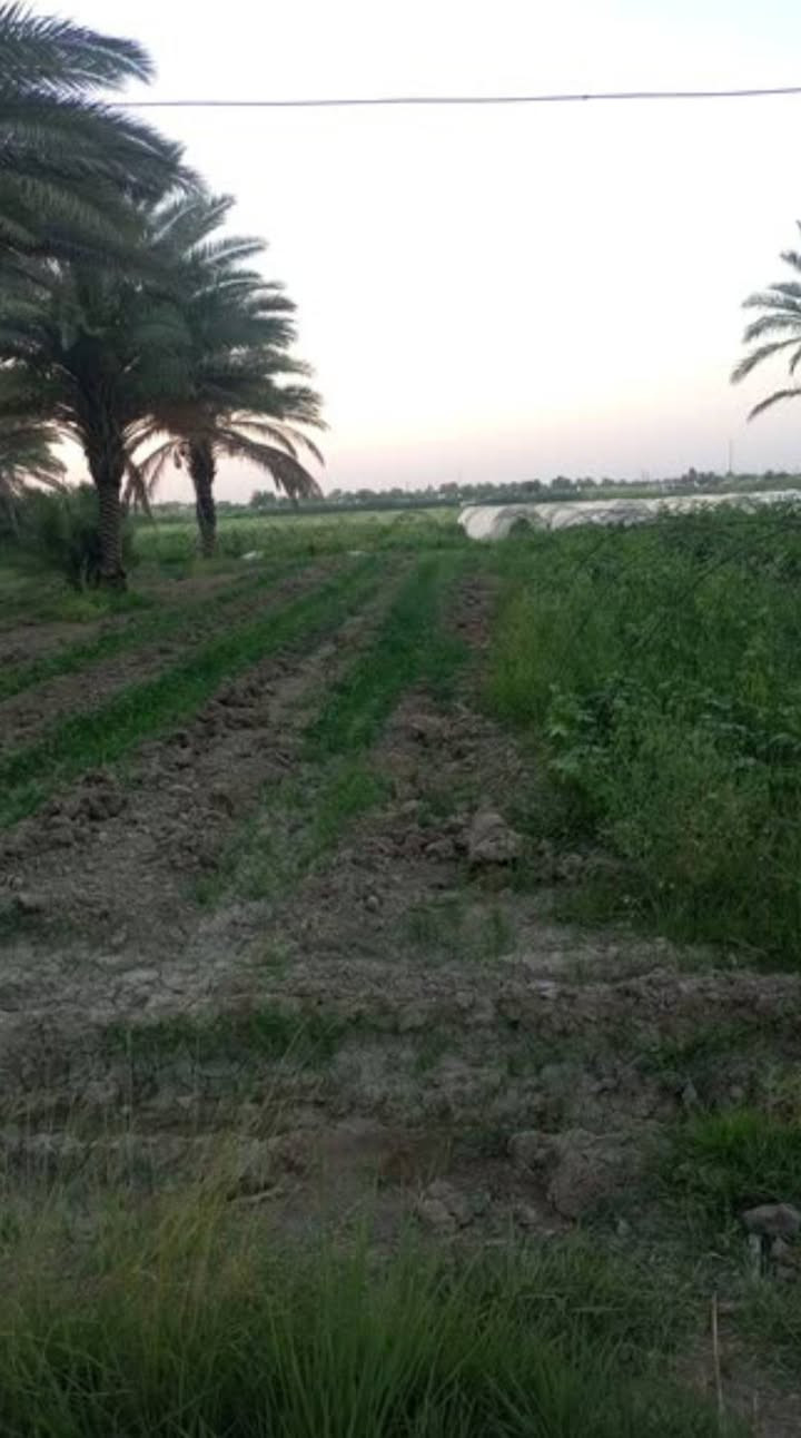 5 دونم للبيع
الموقع اللطيفيه كليو/18 خلف محطة الاسراء

خدمات ماء سقي + ماء اساله كهرباء وطني +سحب مولد

للاستفسار الاتصال ***********//***********
