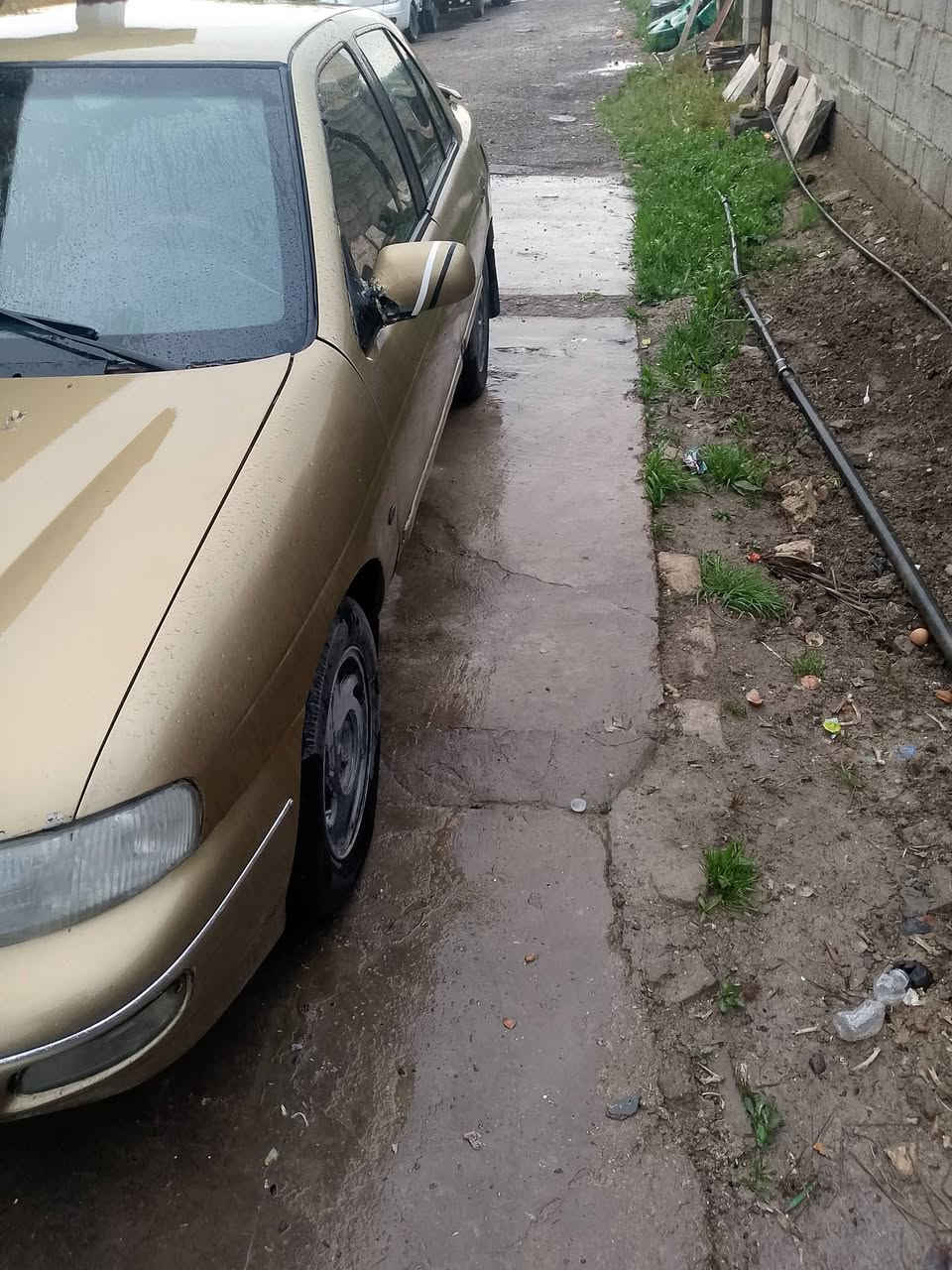 اسلام عليكم كيا سيفيا اللبيع موديل 95 كير محرك مكفولات صدر نص تخم تاير جديد هزة جديدة تحويل ثاني يوم سعر 32 وبيهة مجال ‏‪***********‬‏ مكان السيارة بغداد
