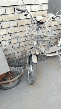 للبيع دراجة شحن نقص بطاريات أربعة صغار  فقط السعر 50الف  هاتف *********** عنوان بغداد الدورة
