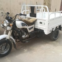 ستوتة • ٢٠٢٠ • اوراق جاهزة