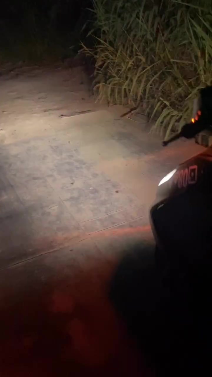 سلام عليكم سكنس فحل لبيع و مراوس  تفاصيل خاص ❤️


**إذا كنت صاحب هذا الإعلان وتريد حذفه لأي سبب، رجاءا أرسل رسالة إلى الدعم الفني**