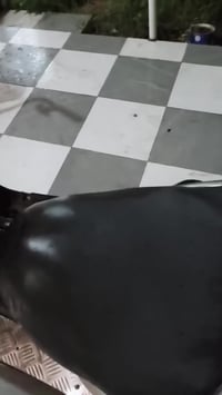 ماجستي • ABS • دخن