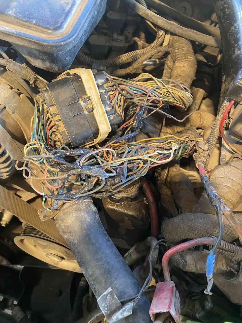 ظفيرة المحرك جيب كوماندر 2008 هاي الهوسه والوايرات وطبك
وشتغلناها بعوازل شرنك وع وضع الشركه ولغينه الفيشه حسب رغبة الزبون 
حسن فلاح *********** ميسان
