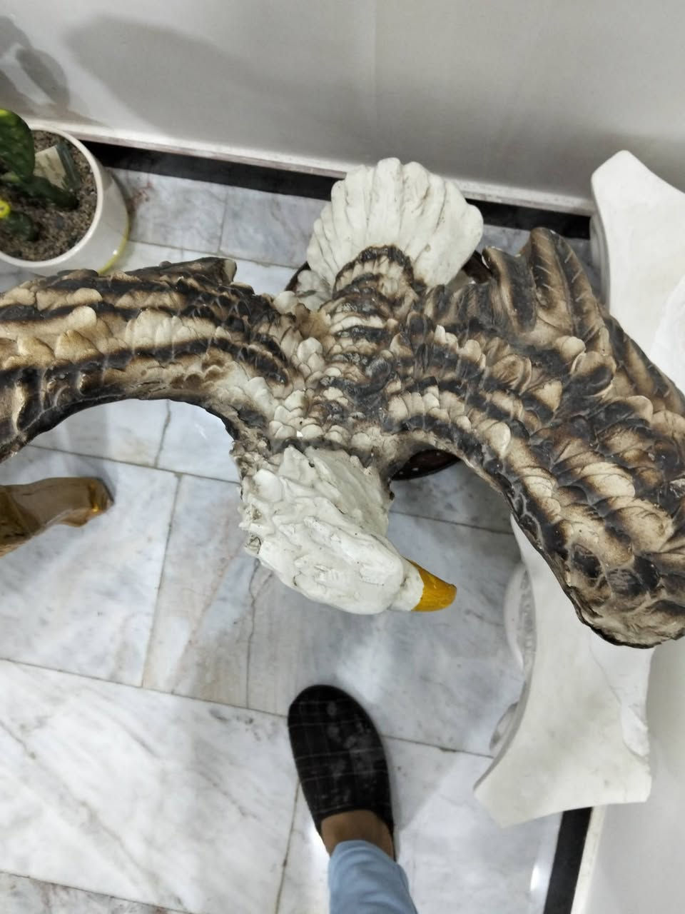 نسر 🦅 حجم كبير قياس ازيد من 60 سم  في عرض 50سم بورك
٫نافوره بولستر تمثال بنت قياس 65سم في 50 سم 
سعر الاثنين 100 الف بغداد الجديدة


**إذا كنت صاحب هذا الإعلان وتريد حذفه لأي سبب، رجاءا أرسل رسالة إلى الدعم الفني**