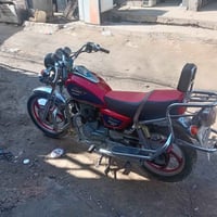 جونده • موديل 2023 • أوراق أصلية