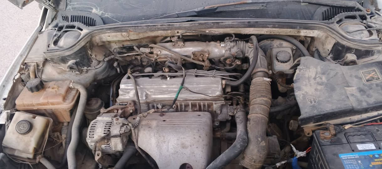 بيجو فرنسي رقم صدامي اديالى سنويه منتهيه ماعدي تواصل ويه راعيه ابيع هل موجود العنوان بصره الهارثه مكينه كامري *********** السعر ١٤ ورقه موديل ٢٠٠٩
