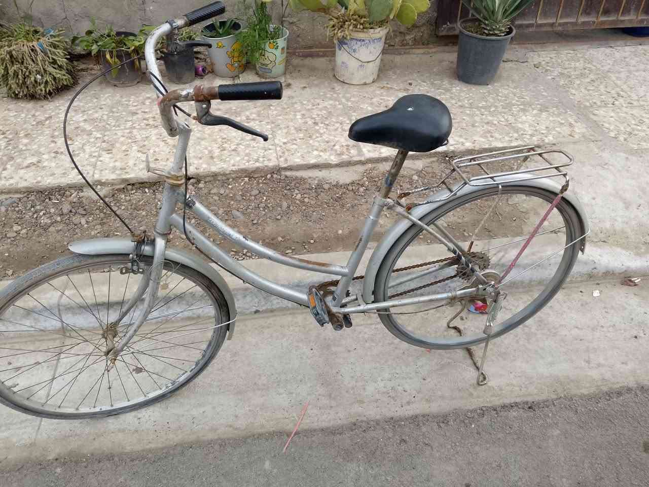 سلام عليكم بايسكل بناتي نضيف وكامل مكمل حجم26بريكات كامله وياله عدله بس تايرات نازله متروك وكامل سعره35مكاني حي الجهاد بغداد بي مجال*********** مستعجل مستعجل علبيع
