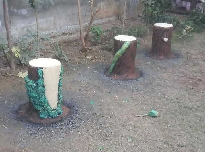 أجمل الديكورات الحديق ونسب لاسعار رقمي ***********
