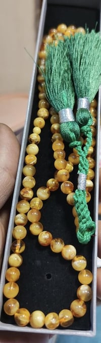 مسبحة • درجة أولى • بولوني شجري