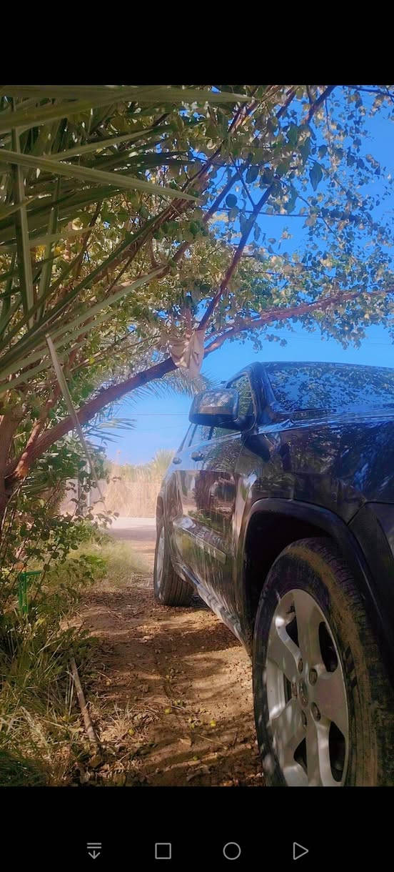 جيب صبغ عام ارباك طاك حدثه من البجم سياره جديده خير من الله رقم بغداد الإنكليزي بسمنه سعره 118بيه مجال بسيط حل الجاي مابيه نقص اي شي متواجد على الفيس بوك


**إذا كنت صاحب هذا الإعلان وتريد حذفه لأي سبب، رجاءا أرسل رسالة إلى الدعم الفني**