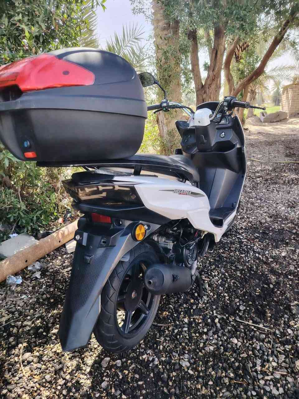 درجة البيع شركت هوشا محرك متياز ياباني مال جناي برغي مامفتوح
مكان الدوانية غماس رقم وتساب ***********
