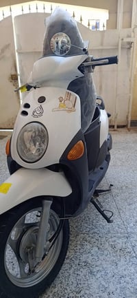 ابيض صدفي • كفاله عام • ناصريه مركز