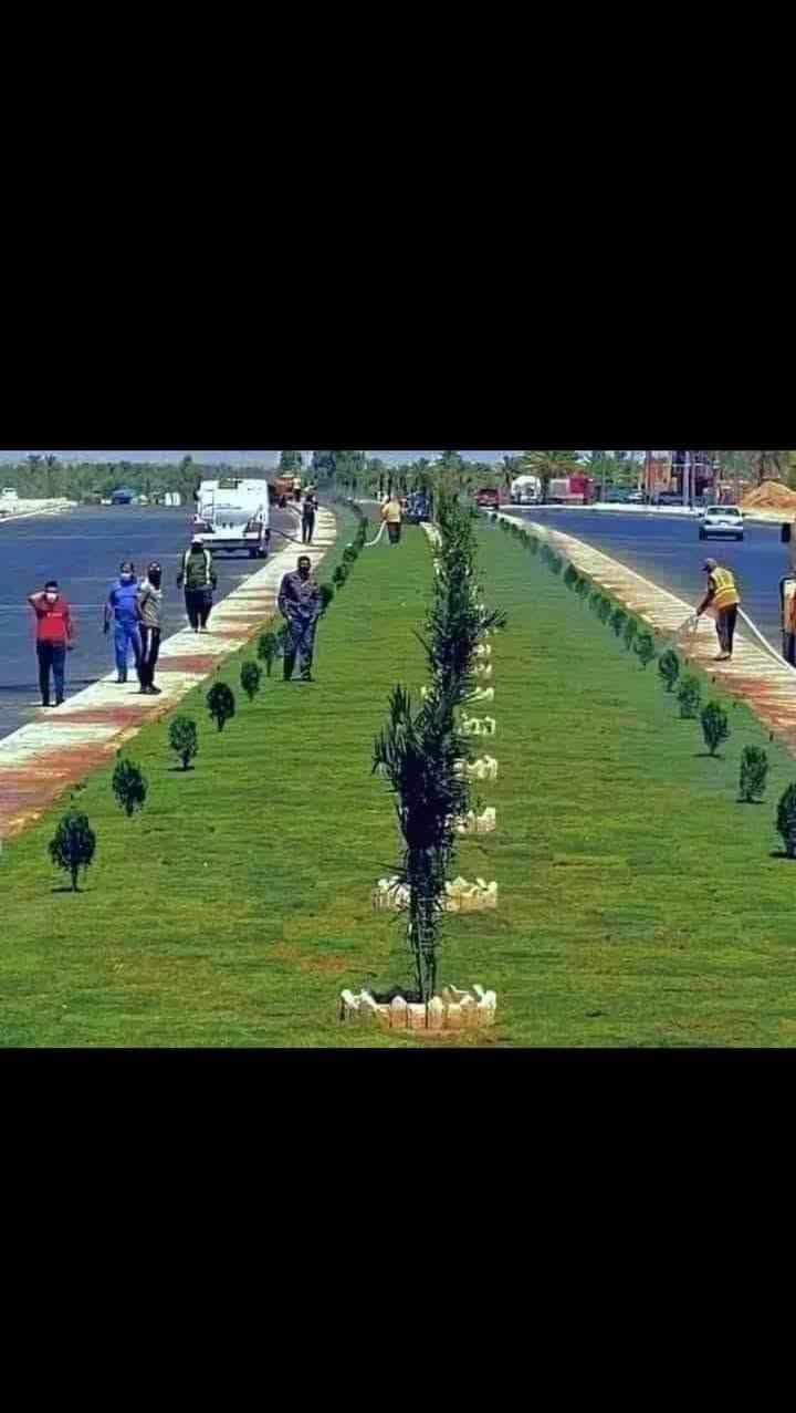 انتاج خاص بمزارعنا
حيث الجودة والسعر المناسب 

☘ثيل هندي طبيعي نوعية ممتازة🍀 مناسب للاستخدام في ( المنازل🌳_ الحدائق🌳_ الملاعب🌳_ الدوائر🌿) 

#انتاج_خاص #شكل_مثالي  #سعر_تنافسي

✨ سعر المتر يختلف للكميات الكبيرة ✨

يوجد خدمة توصيل لجميع محافظات العراق 

#ملاحظة : التوصيل مجاني ❤️

(مستعدون لتجهيز الحدائق المنزليه و الملاعب الرياضيه و المنتزهات و الدوائر الحكومية بكادر مختص مميز يجيك لباب بيتك #بأسعار #تنافسيه )
🍁للاتصال او الاستفسار  متوفر مفتوح طوال اليوم
*********** اتصال أو واتساب
*********** اتصال او واتساب
