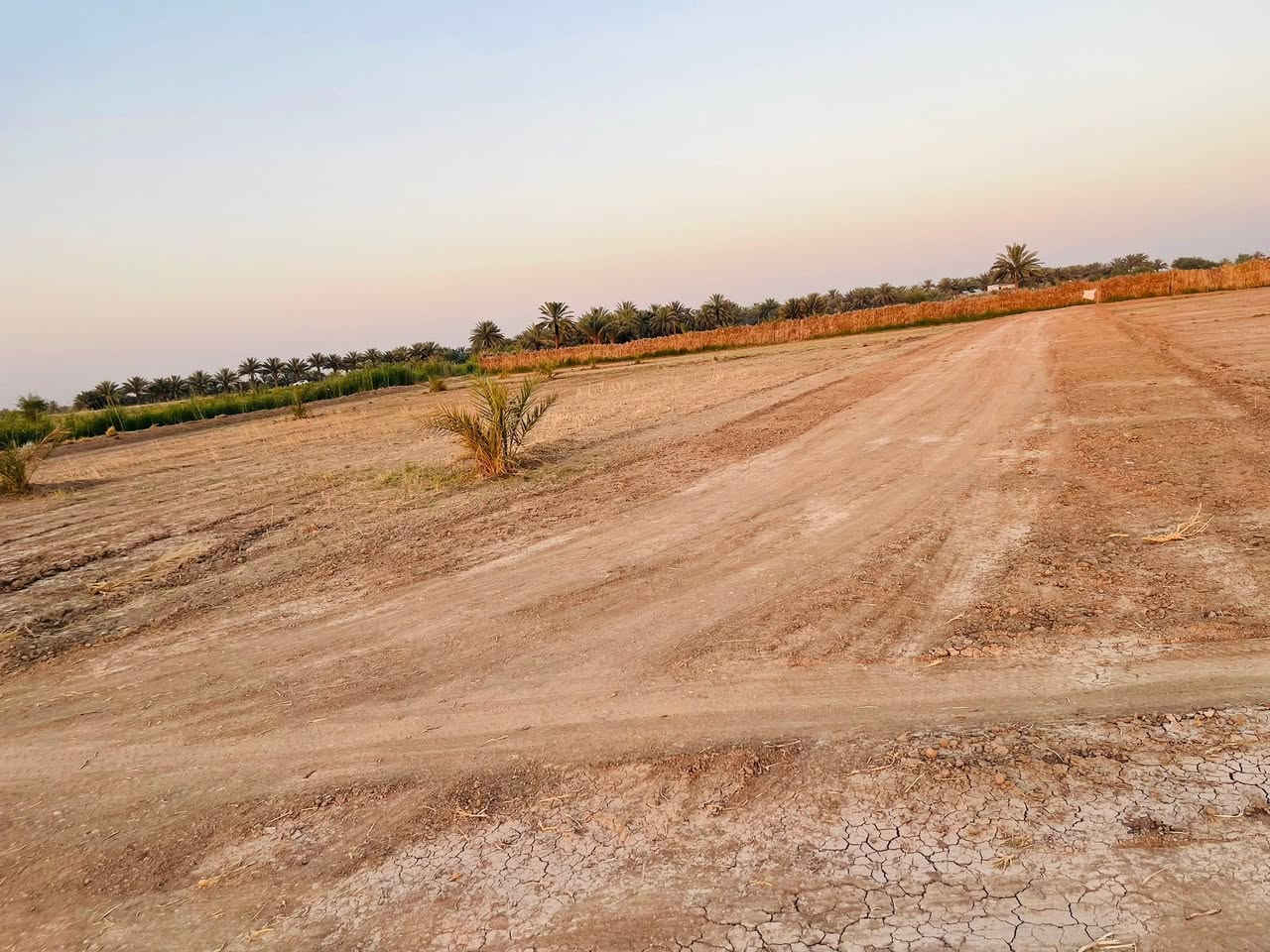 دوانم  يصلح مزارع  استثماريه او خاصه او سكن موقع مثالي 📍

طابو زراعي سند25                    تحويل مباشر 

           متوفره كافة الخدمات 

 الموقع خلف جامعة بابل قرب منطقة ربع سعود 

سعره مناسب كموقع ❤️‍🔥

لااستفسار اكثر 
***********
