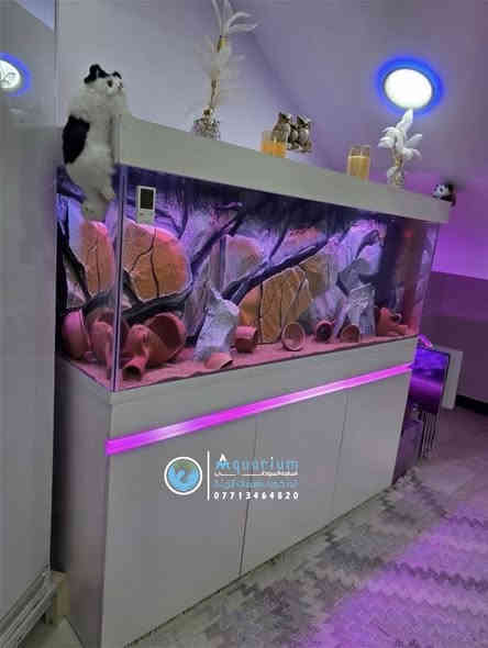 #اناقة . #متانة . #حرفية بالتصميم . #ضمان …. 

تصميم حوض متر ونص نظام فلترة احترافي السامب العملاق يغنيك عن تنظيف الحوض المستمر .. مع كابينة ضد العفن والرطوبة .. مع ديكور على شكل صخور بيئة ملائمة لسمكة السيكليد الافريقي تصميم معملنا المنفرد بصناعة ديكورات الصخرية والحجرية داخل العراق من الفوم والفلين  .. معنا دائما تكون مميز 🤗
………….
👇👇👇👇👇👇👇👇👇 

للحجز او الطلب او معرفة السعر وباقي التفاصيل  والموديلات راسلنا على الواتس اب  ..
للتواصل واتس اب 
***********
👇👇👇👇👇
رابط الواتس اب 
https://wa.me/message/HGVGA73WBKX7N1
رابط التيك توك
https://www.tiktok.com/@osamaalsudane?_t=8nKrZkRPojB&_r=1
رابط الفيس بك
https://www.facebook.com/profile.php?id=61560275963976&mibextid=LQQJ4d

🔴🔴🔴🔥🔥🔥🔥🔴🔴🔴🔴🔴

#جيروز #مستلزمات_احواض 
#احواض_زينة
 #اسماك_زينة
#ديكور_احواض #عالم_الاسماك #نباتات_مائية
#فلتر_احواض #إضاءة_RGB #إضاءة_احواض
#هواة_الاسماك #تنسيق_احواض #تجهيز_احواض
#اسماك_ملونه #محبي_الاسماك
‏ #AquariumSupplies
‏#FishTankSetup #Aquascaping #RGBLighting
‏#AquariumGear #TropicalFish #PlantedAquarium
‏#FreshwaterAquarium #AquariumAddict #AquariumLovers
‏#Jeros #AquariumLife

