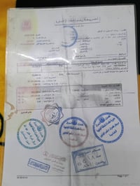 سكنس نثيه • ياباني • ١١٠